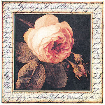 schilderij ancient rose